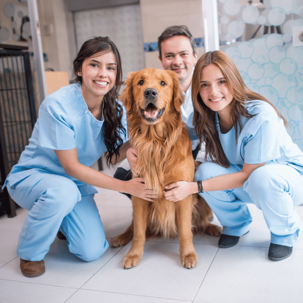 Especialidades Médicas