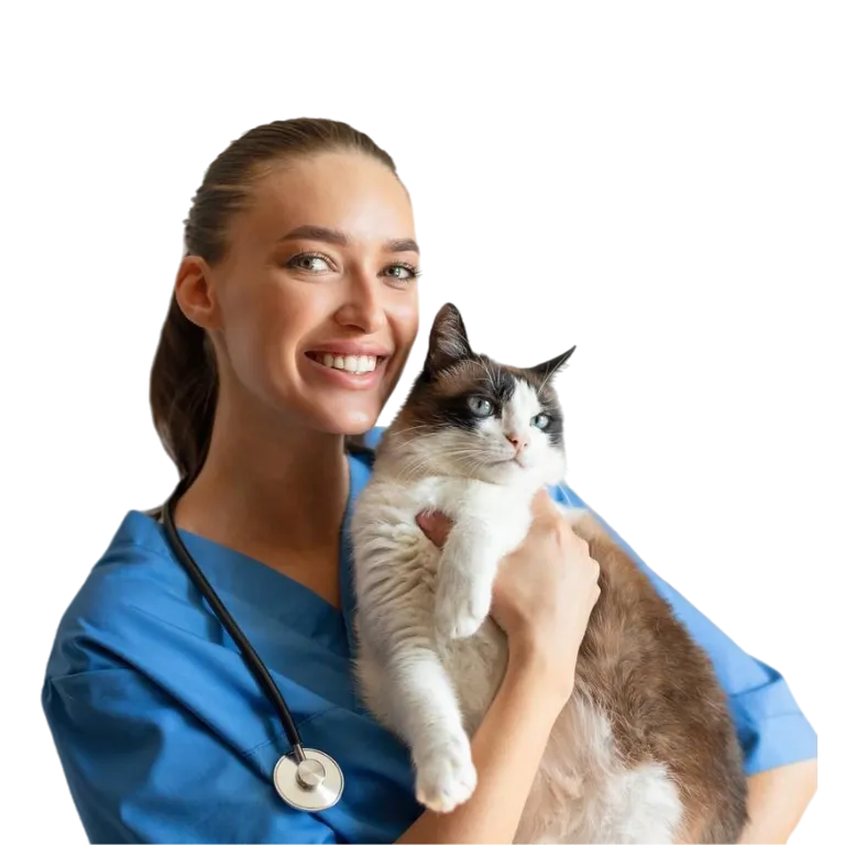 Veterinario atendiendo a un gato en un ambiente cómodo